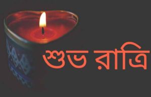 Bangla Good night